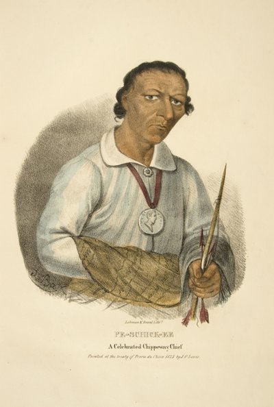 Pe-schick-ee by James Otto Lewis